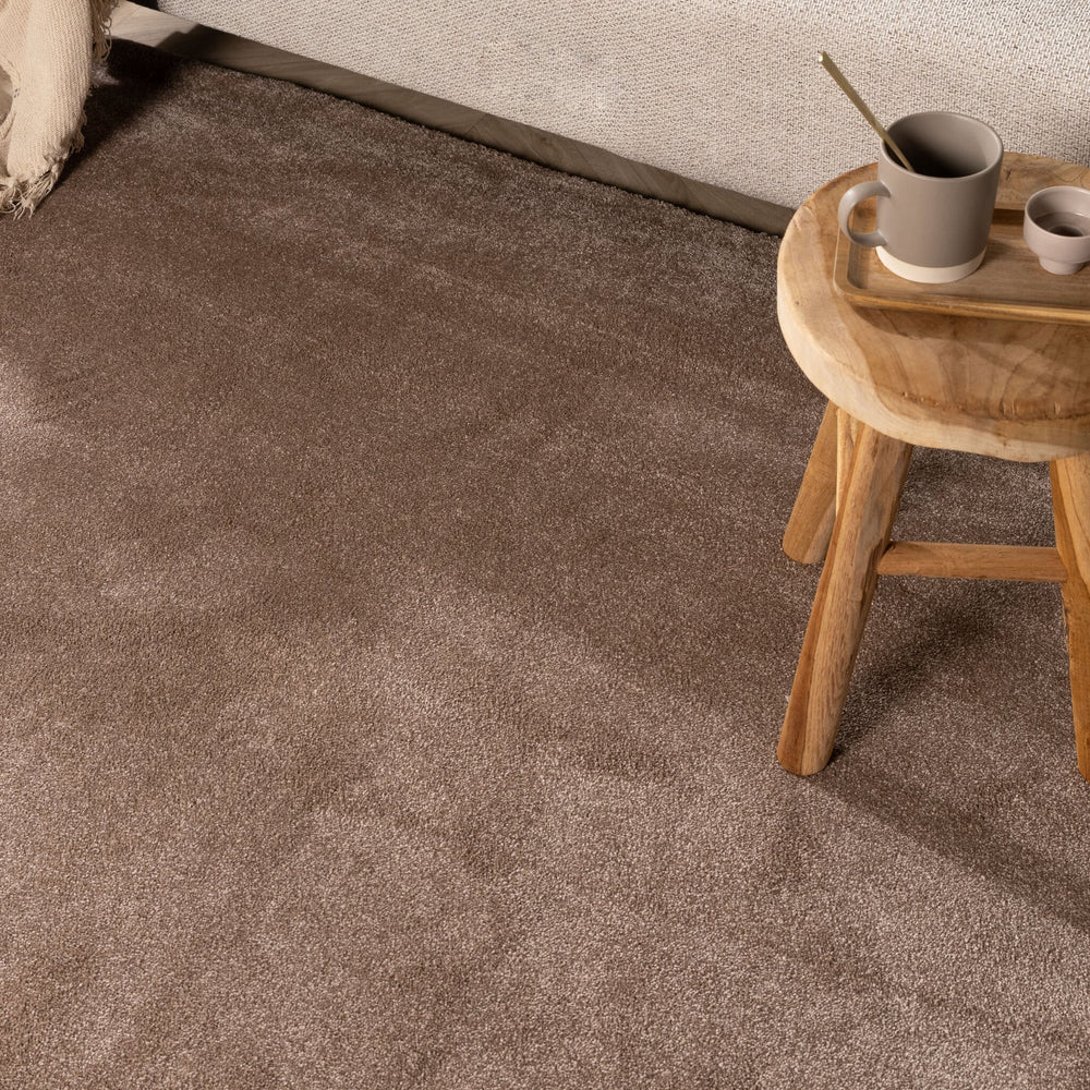 Washable Rug – Clean Brown