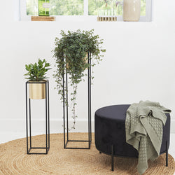 Planter - Violeta Gold 2/set
