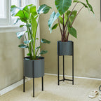 Planter - Delphine Black Low