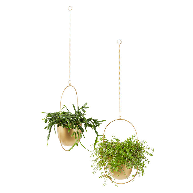 Plant hanger - Liv Gold 2/set